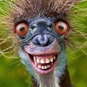 Meet your Posher, Dave